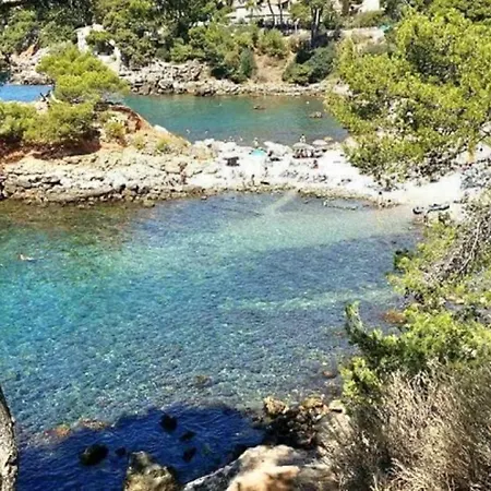 Spacious Sea View At 50m From The Bandol